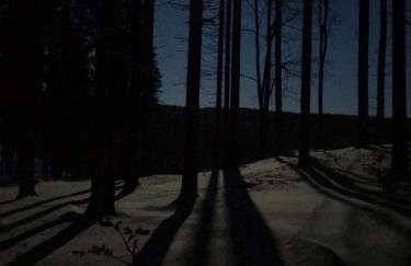 Dziewięćsił-domek w górach - Foto 2