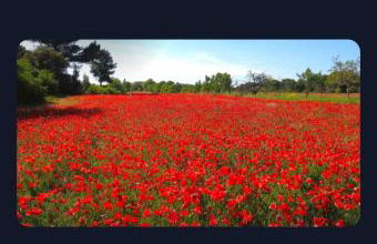 La Villa Sable en Provence - Foto 54