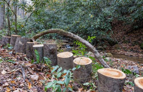 Creek side Mountain Perfect for Families ,We are just 5 to 7 minutes from the entrance of Pisgah Forest, where you ll find many rivers and waterfalls - Foto 50