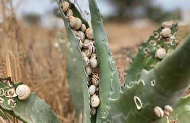 Villa Mi Marino - Foto 65