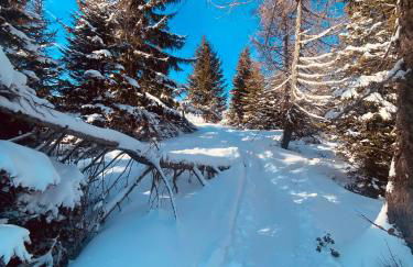 Appartamento Ofelia - Foto 18