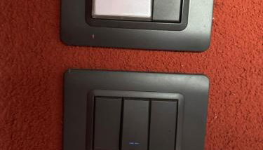 fior di loto - Foto 3