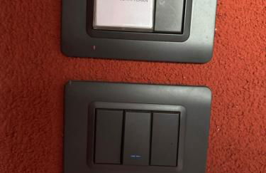 fior di loto - Foto 3