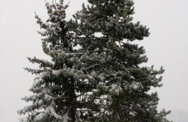 DUPLEX Les Plautus - Foto 12