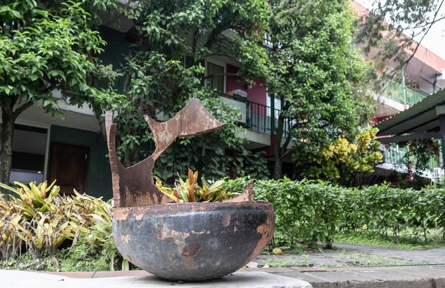 Novo Hotel & Suite - Photo 35