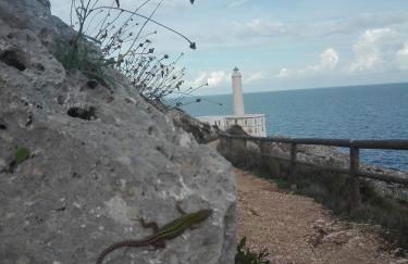 Fata Morgana - Foto 29