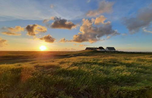 NORDSEE Bauernhof Familie Wulff FeWo "Südfall" - Foto 27