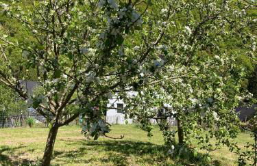 Ferienwohnung-Eichheck - Foto 15