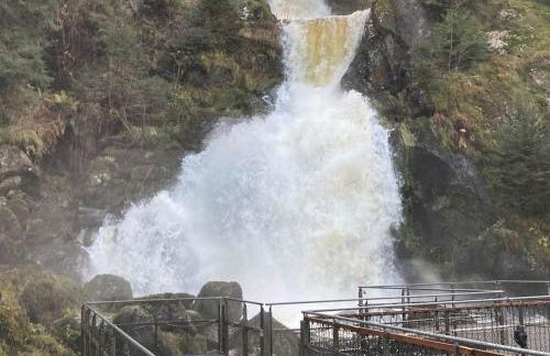 Sumeja Residence - Foto 37