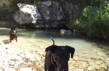 Les Favouilles, le gîte pour 15 personnes - Foto 28