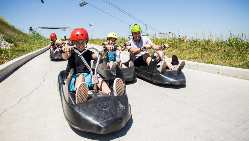 Skyline Luge - Billet - Photo 3