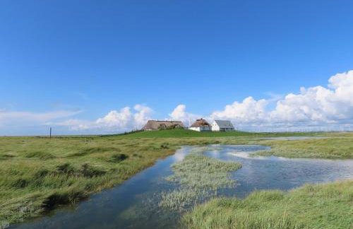 Große Warf mit Rasenfläche - Foto 8