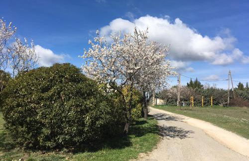 Les Gites de Catherine - Foto 38