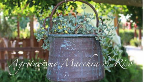 Agriturismo Macchia di Riso - Photo 2