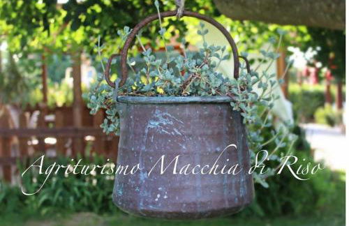 Agriturismo Macchia di Riso - Foto 2