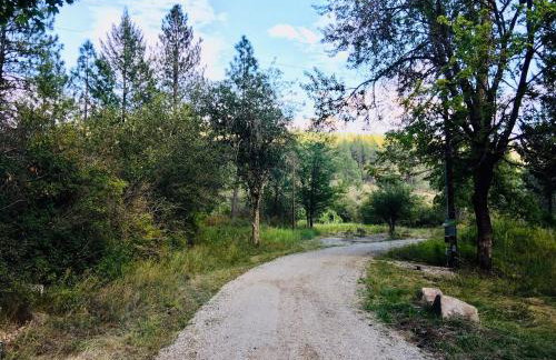 Tranquil Nature Retreat on 12 acres! - Foto 49