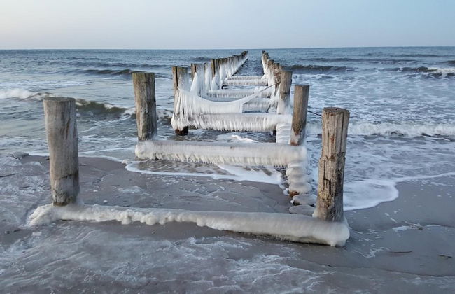 Captain Pahlen Ferienanlage - Foto 34