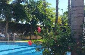 APARTMENT PALMAS DE COCO - Foto 33