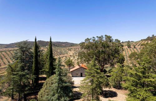 Acushla Original House Douro - Foto 1