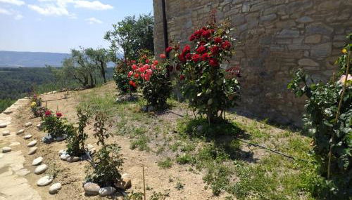 Casa Dominica - Foto 3