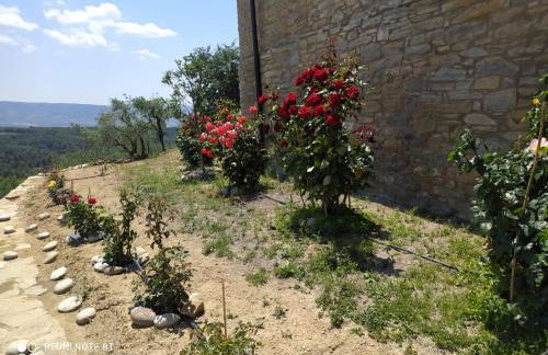 Casa Dominica - Foto 3