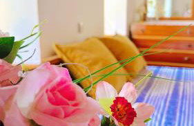 Erato's Nest - Pelion - Photo 9