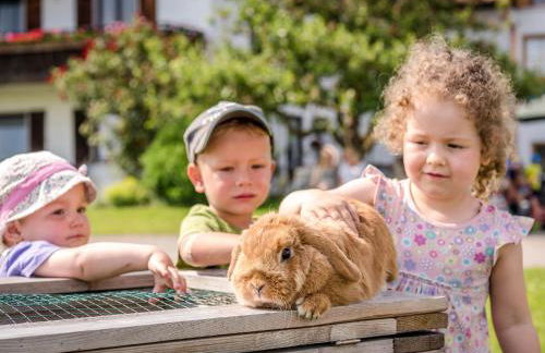 Panoramahof Stief - Photo 7