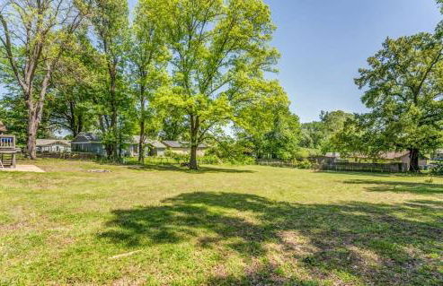 Schoolfield Collective - Foto 42