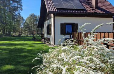 Łap Las Pelnik - Photo 25