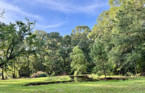 Country Retreat with ponds-views-porches & pups - Foto 42