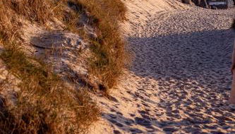 Gemütliches Sylter Strandstudio - Foto 4