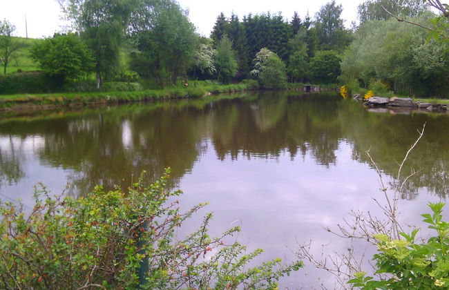 Splendid Chalet in Gouvy With Fenced Garden - Foto 37