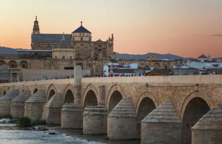 Hacienda Los Manchones - Foto 26