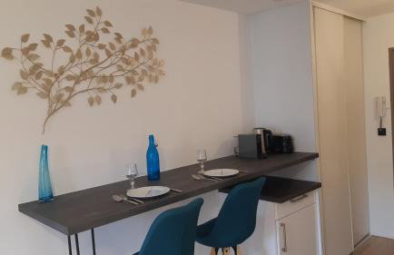 "Monplaisir", parking, canapé-lit neuf confortable, idéal voyages d'affaires et tourisme, proximité commerces, gare, Université Lyon 3 , Tram T2, T4 et C25 - Photo 9