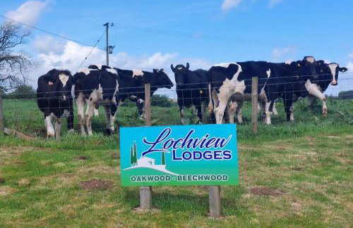 2 Bedroom Sleeps 4 Lodge-smart Tv-hot Tub-dogs Ok - Foto 42