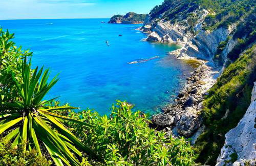 El oasis relajante the relaxing oasis - Photo 54