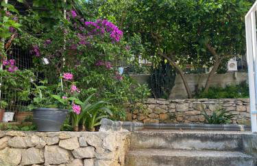 Apartments Despotović - Photo 22