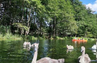 Wiejska Chata - Foto 41