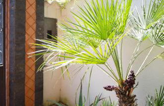 Saint Philippe Maison - Foto 23