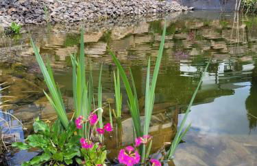 Am oberen Bühl - Foto 26