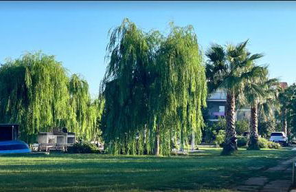 L'Orto di MiLa - Foto 2