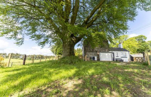 Wilsons Cottage - Foto 11