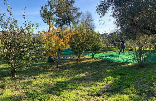 Casa Ar da Beira - Serra da Estrela - Belmonte - Foto 34