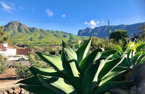 Casita La Rosa - Foto 51