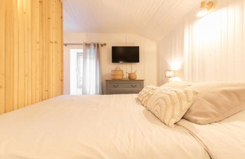 Au Petit Sommet - Cerf Brun Appartement centre ville 35M2 - Photo 7