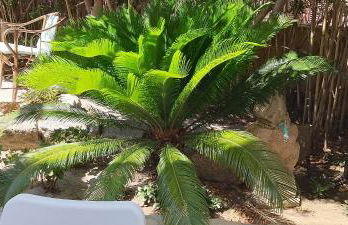 Monolocale Il Corbezzolo - Photo 40