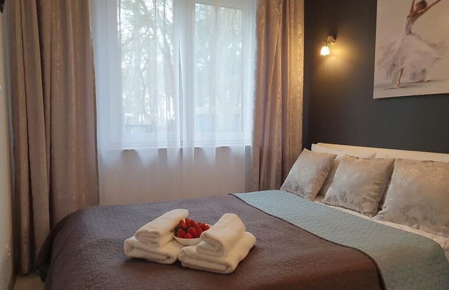 DWIE SOSNY-Apartament na wydmie - 365PAM - Photo 3