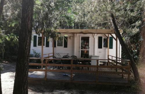 Résidence Santa - Foto 10