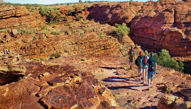 Kings Canyon and Outback Panoramas - Full-Day Small GroupTour - Foto 3