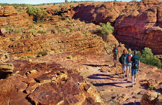 Kings Canyon and Outback Panoramas - Full-Day Small GroupTour - Foto 3